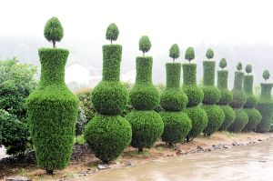 植物造型 园林绿化中的惊艳技艺